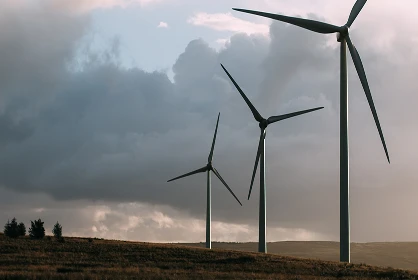 Harnessing the Sun: The Growing Impact of Solar Power Worldwide