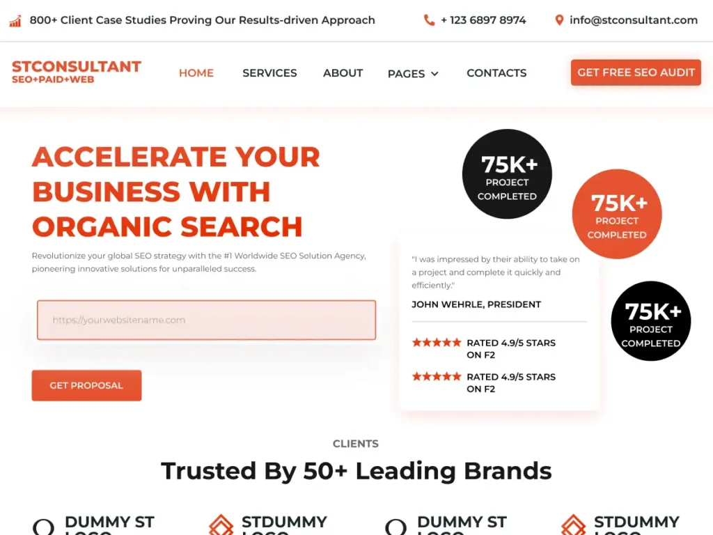 Free Seo Consultant WordPress Theme Thumbnail