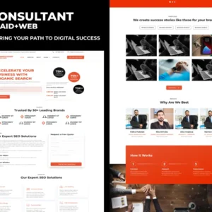 seo-consultant-wordpress-theme
