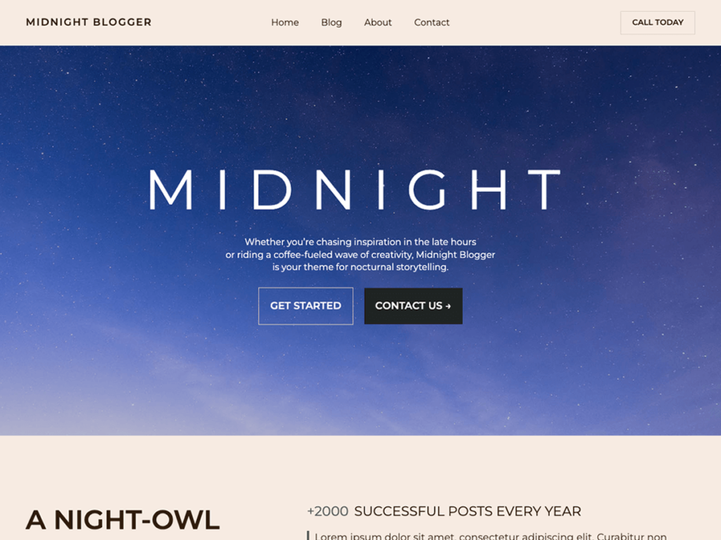 Midnight Blogger