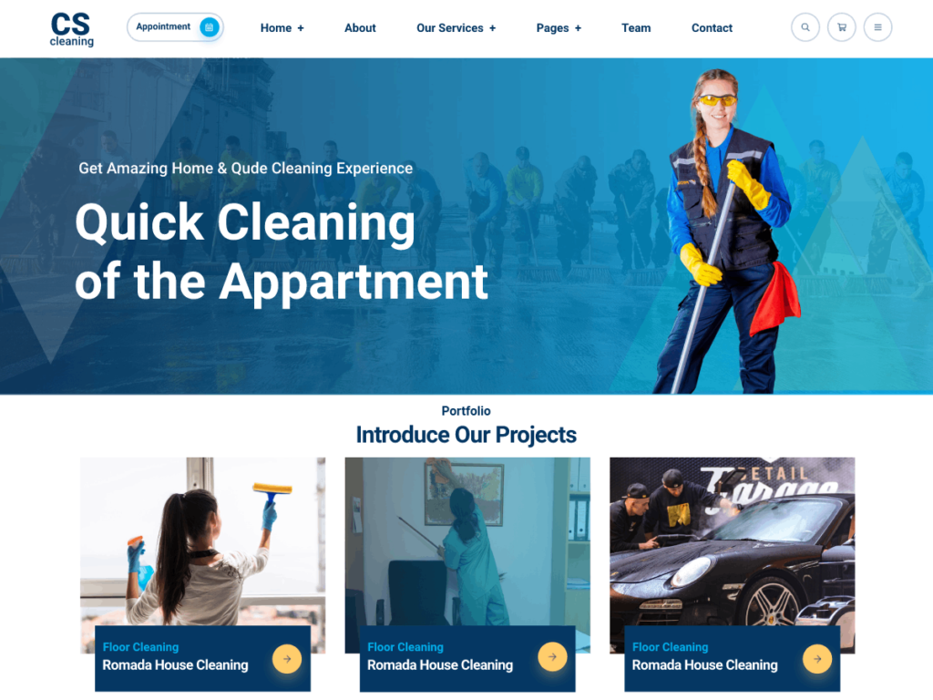 professional cleaning company
