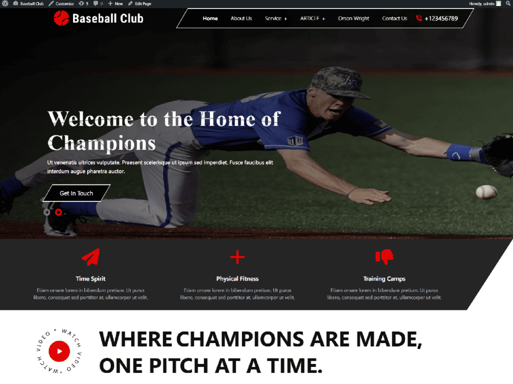 10 Best Free WordPress Themes for Clubs Baseball Sports Club