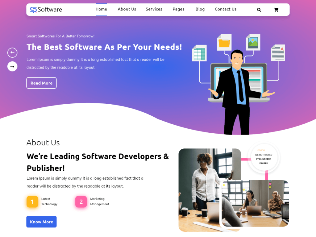 SAAS Software Technology