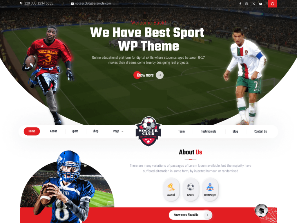 10 Best Free WordPress Themes for Clubs Soccer Club