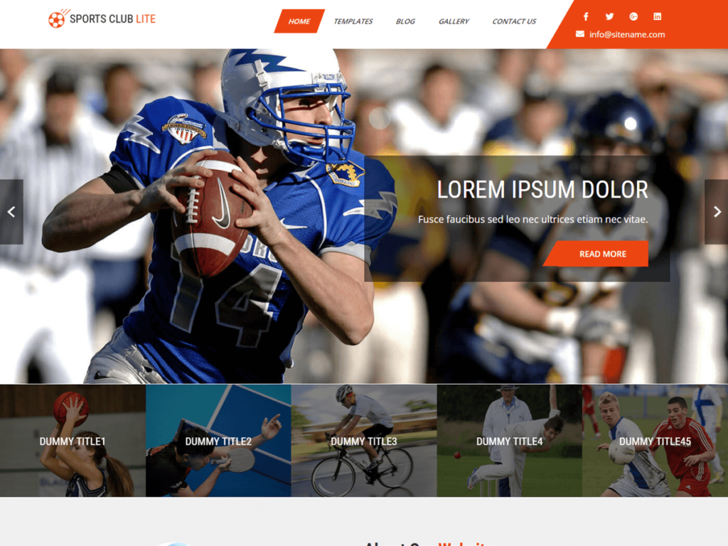 10 Best Free WordPress Themes for Clubs Sports Club Lite