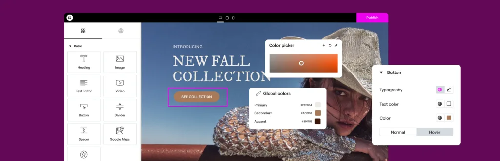Elementor WordPress plugin