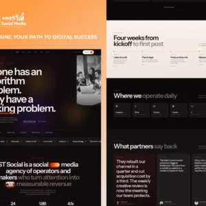 Social Media Agency WordPress Theme 2